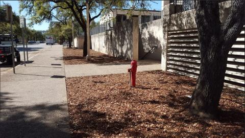 AFTER-air spade and mulch