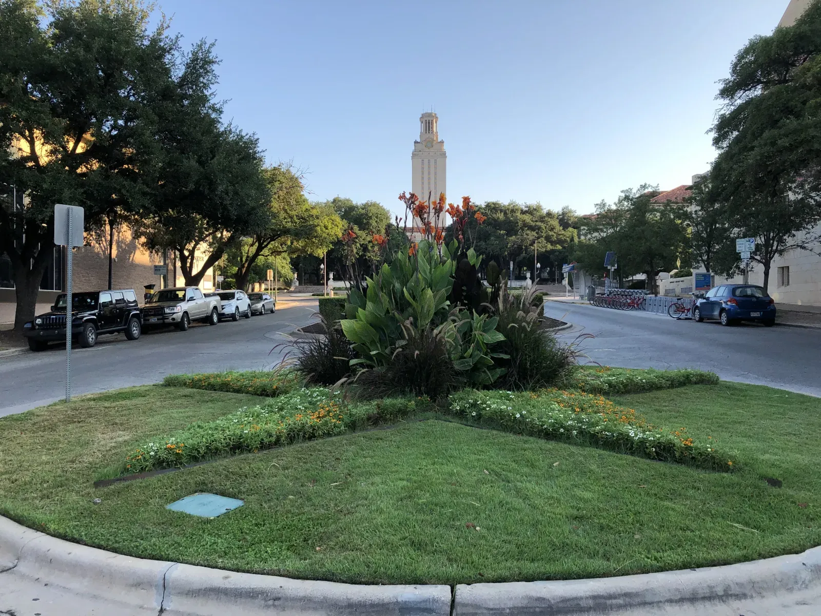 University Ave. flower bed with UT Tower