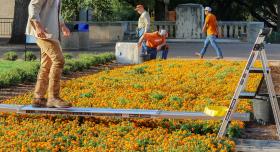 Grounds and Landscape