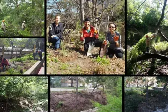 Waller Creek collage