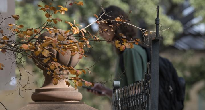 fall color near the Littlefield House