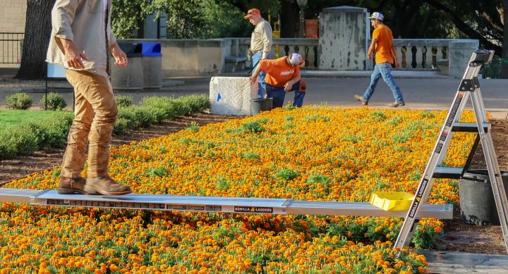 Grounds and Landscape